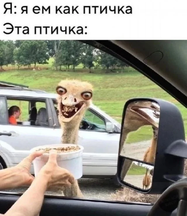 Мемный заряд: сборник свежих шуток к середине недели Мемный заряд: сборник свежих шуток к середине недели юмор, мемы, картинки, шутки, подборка, среда, приколы