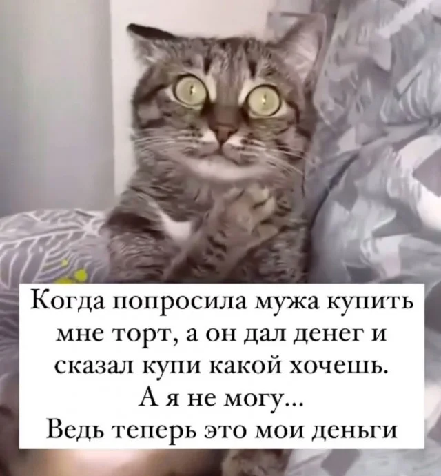 Мемный заряд: сборник свежих шуток к середине недели Мемный заряд: сборник свежих шуток к середине недели юмор, мемы, картинки, шутки, подборка, среда, приколы