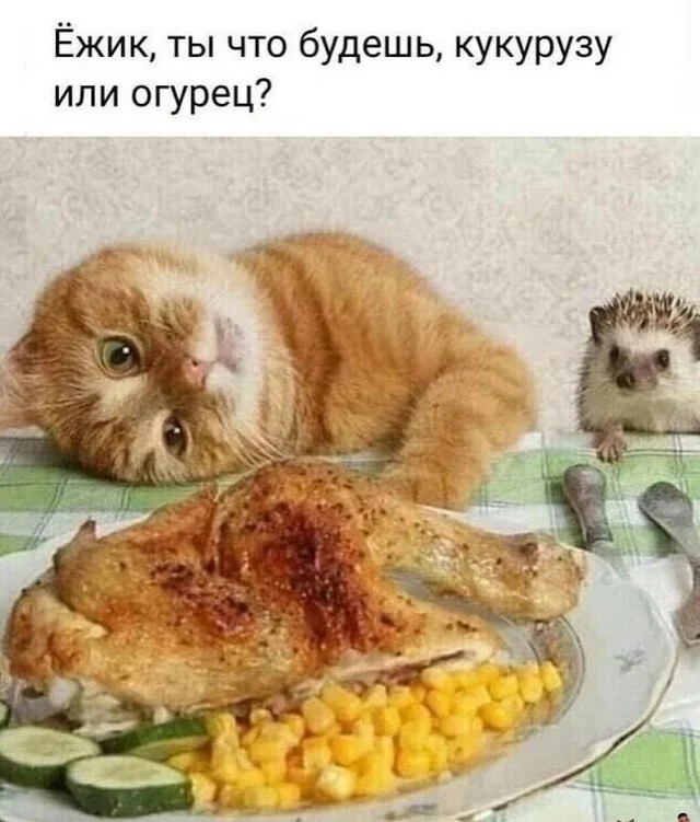 Мемный заряд: сборник свежих шуток к середине недели Мемный заряд: сборник свежих шуток к середине недели юмор, мемы, картинки, шутки, подборка, среда, приколы