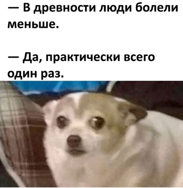 Мемный заряд: сборник свежих шуток к середине недели Мемный заряд: сборник свежих шуток к середине недели юмор, мемы, картинки, шутки, подборка, среда, приколы