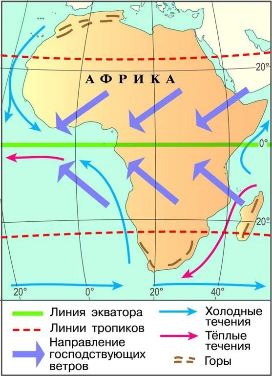 Мемный заряд: сборник свежих шуток к середине недели Мемный заряд: сборник свежих шуток к середине недели юмор, мемы, картинки, шутки, подборка, среда, приколы