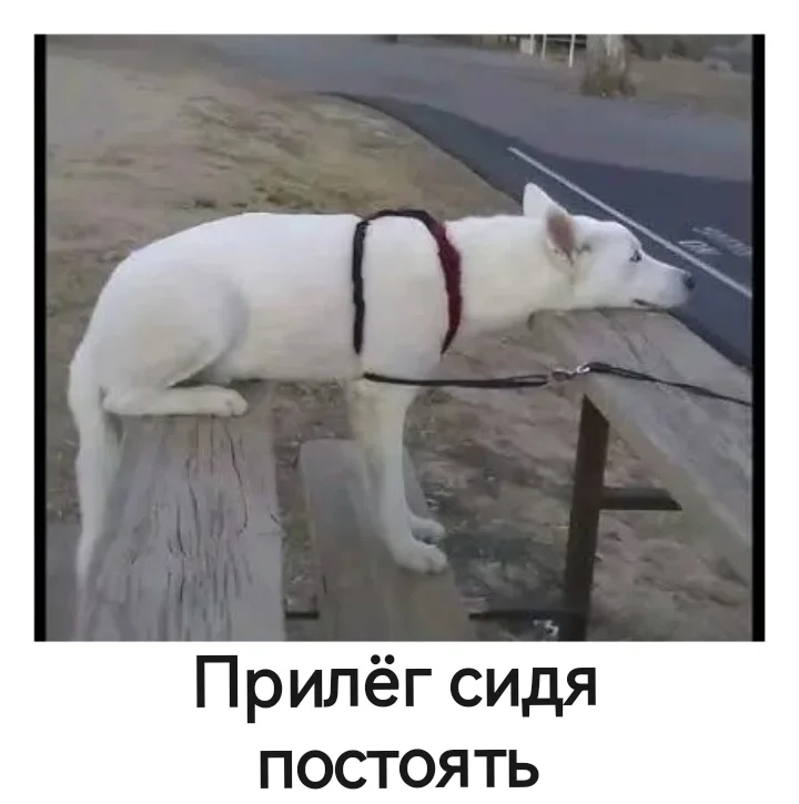 Помните, как папа завязывал шарфик? Теперь вы можете не дышать часами Помните, как папа завязывал шарфик? Теперь вы можете не дышать часами шарфик, детство, папа, прикол, ностальгия