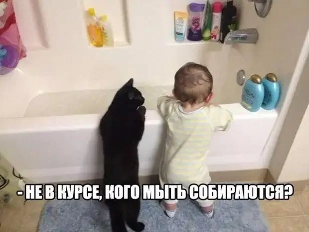 Смешные фото: как мы копим на черный день и что из этого выходит Смешные фото: как мы копим на черный день и что из этого выходит приколы, мемы, деньги, копилка, финансы
