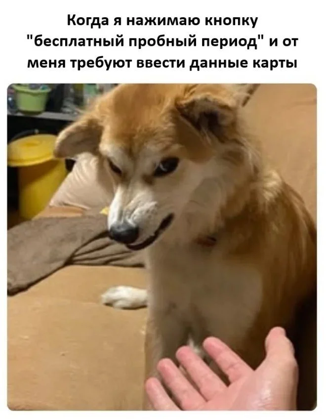 Порция отличного настроения: приколы и мемы Порция отличного настроения: приколы и мемы приколы, картинки, мемы, юмор