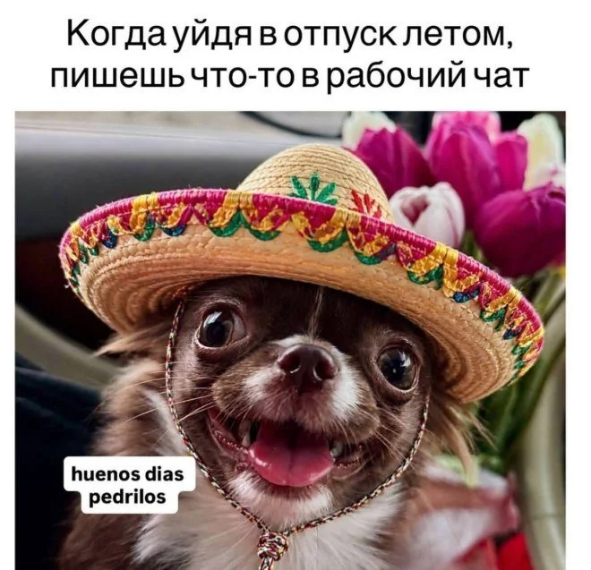 Порция отличного настроения: приколы и мемы Порция отличного настроения: приколы и мемы приколы, картинки, мемы, юмор