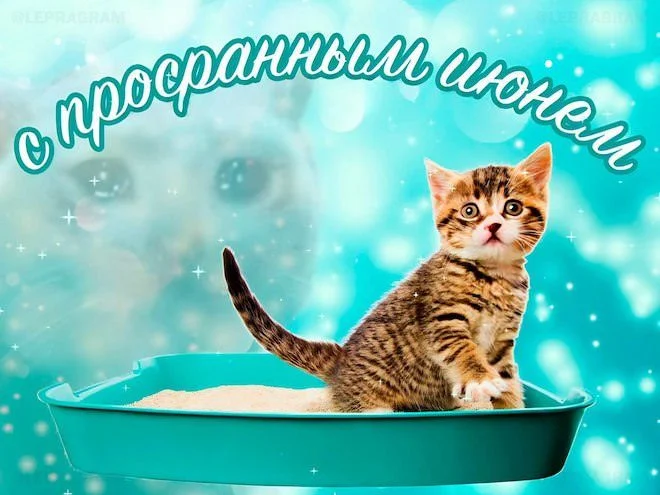 Порция отличного настроения: приколы и мемы Порция отличного настроения: приколы и мемы приколы, картинки, мемы, юмор
