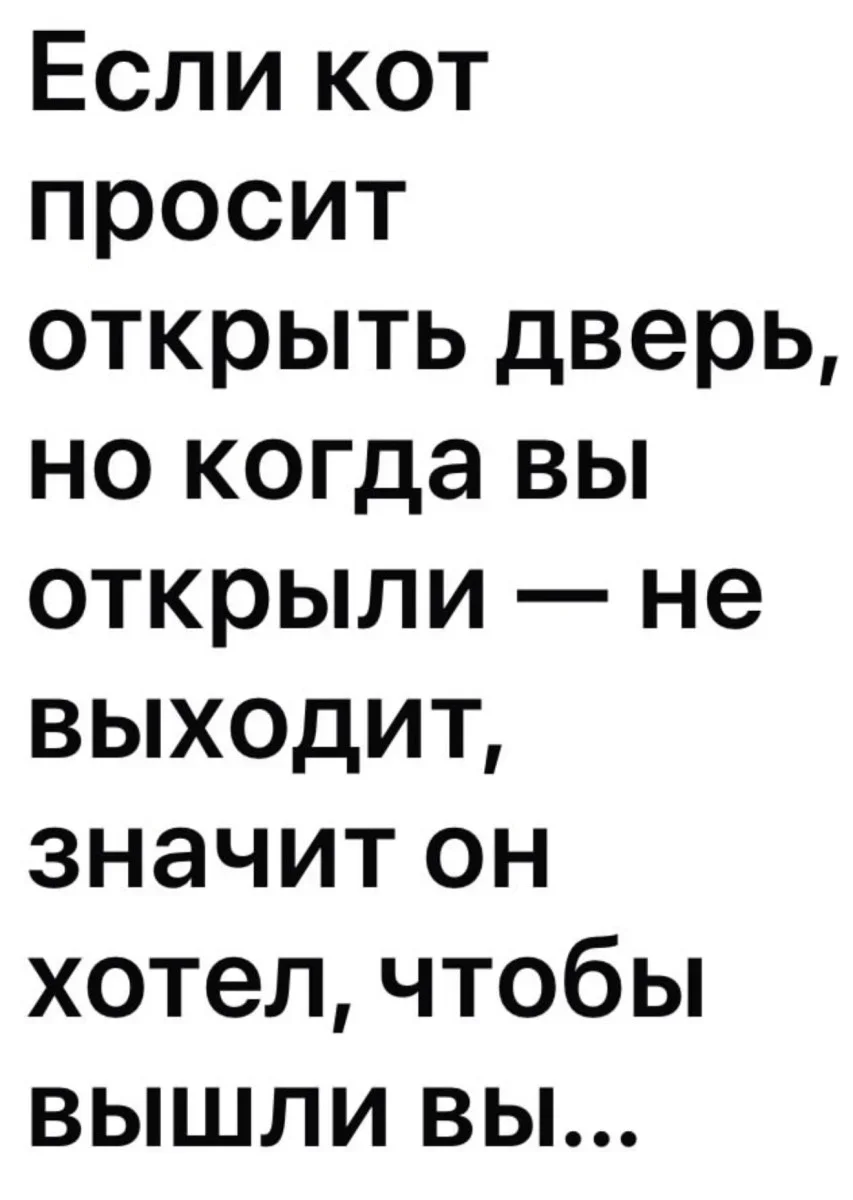 Заряд позитива: смешные картинки и умилительный медвежонок смешные картинки, мемы, приколы, медвежонок, подборка, 1 июля