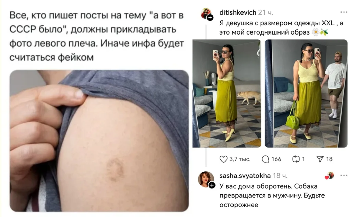 Улетная порция позитива: мемы, от которых порвёте животики