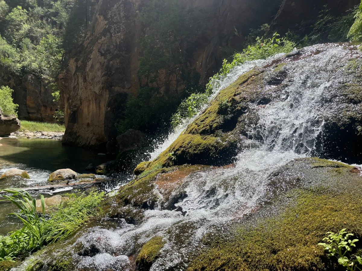 Скрытые сокровища The Narrows: от лягушек до каньониринга Скрытые сокровища The Narrows: от лягушек до каньониринга поход, The Narrows, Зайон, природа, лягушки, каньониринг