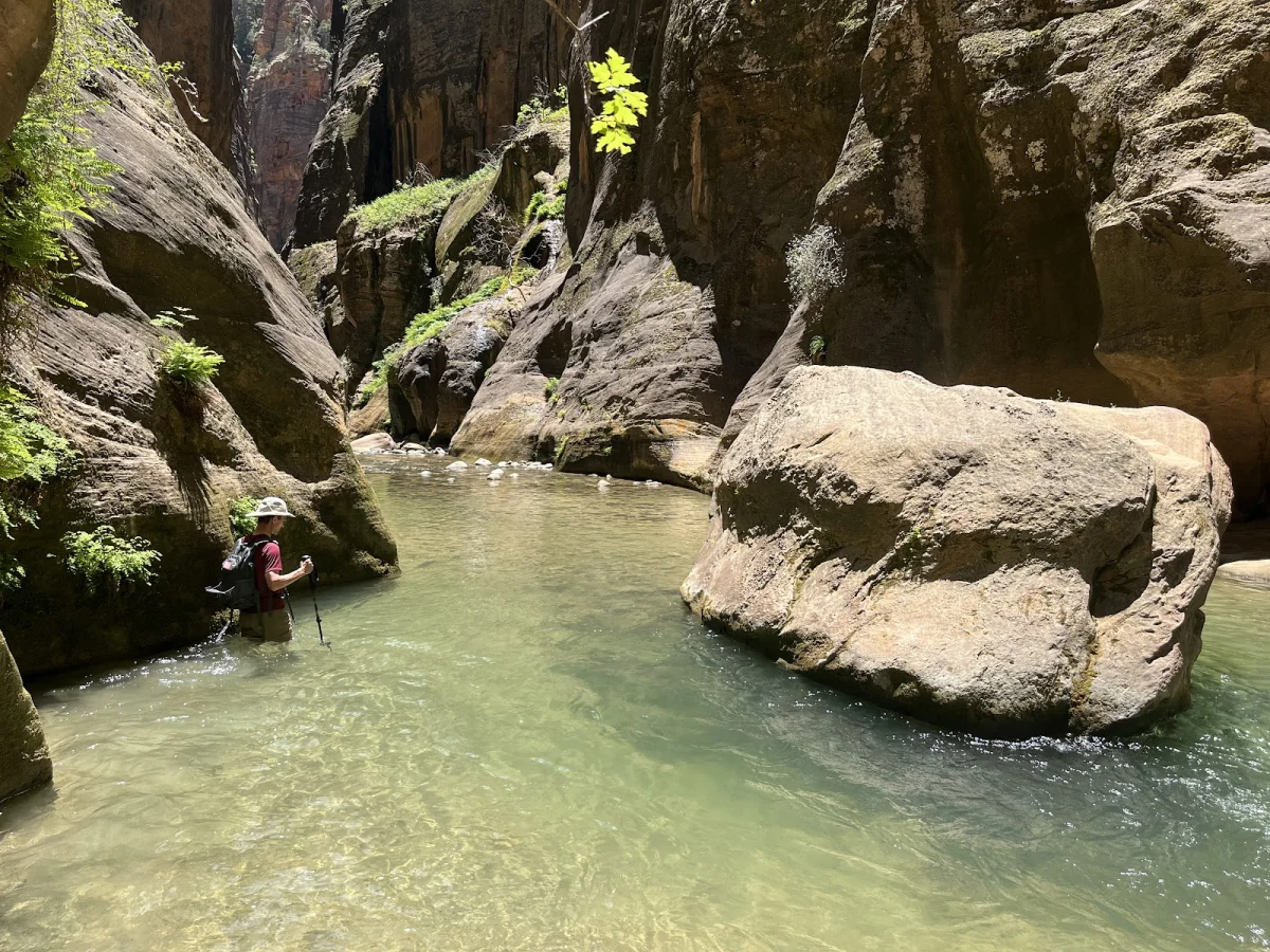 Скрытые сокровища The Narrows: от лягушек до каньониринга Скрытые сокровища The Narrows: от лягушек до каньониринга поход, The Narrows, Зайон, природа, лягушки, каньониринг