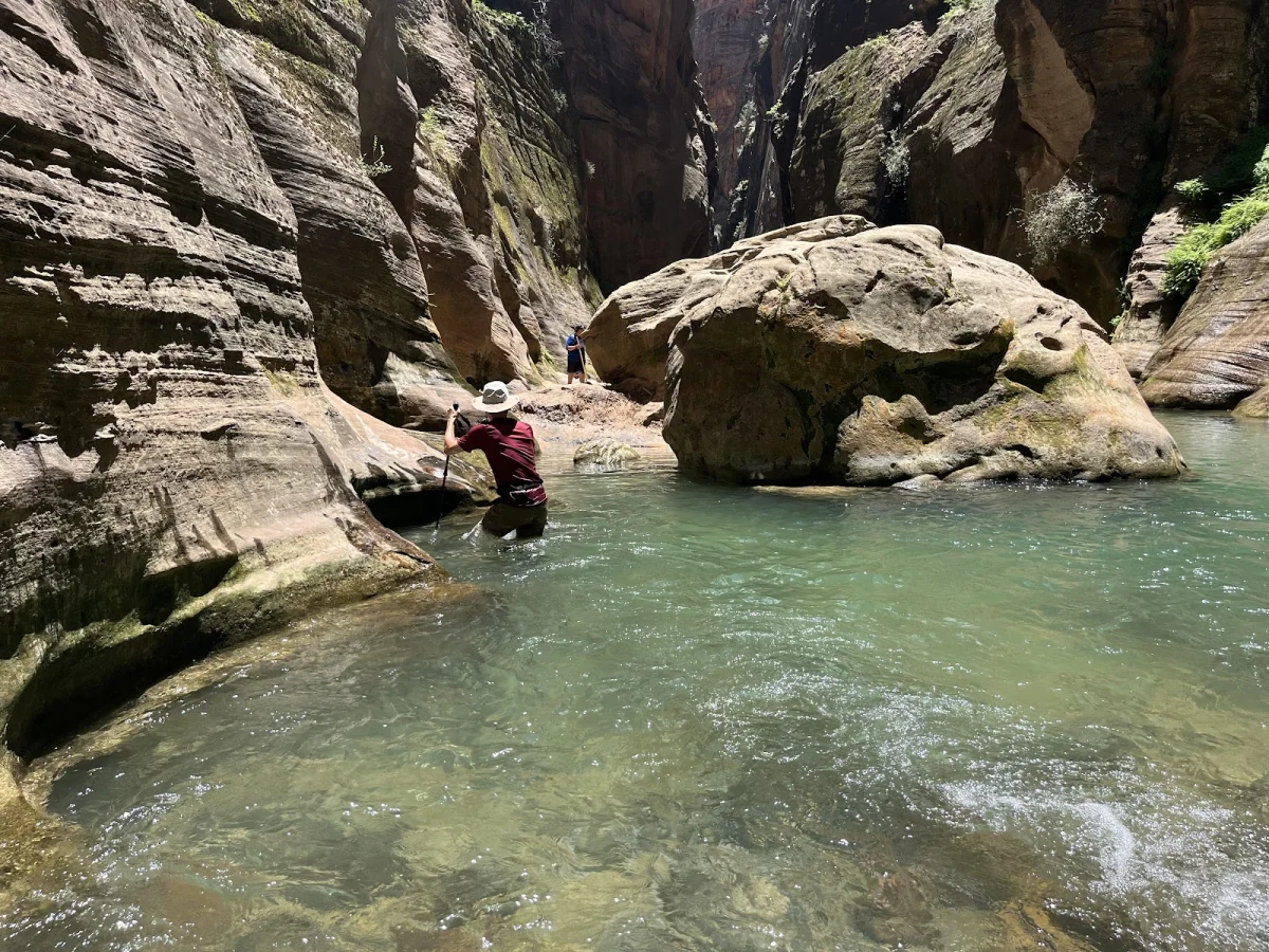 Скрытые сокровища The Narrows: от лягушек до каньониринга Скрытые сокровища The Narrows: от лягушек до каньониринга поход, The Narrows, Зайон, природа, лягушки, каньониринг
