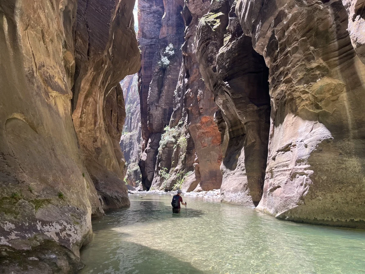 Скрытые сокровища The Narrows: от лягушек до каньониринга