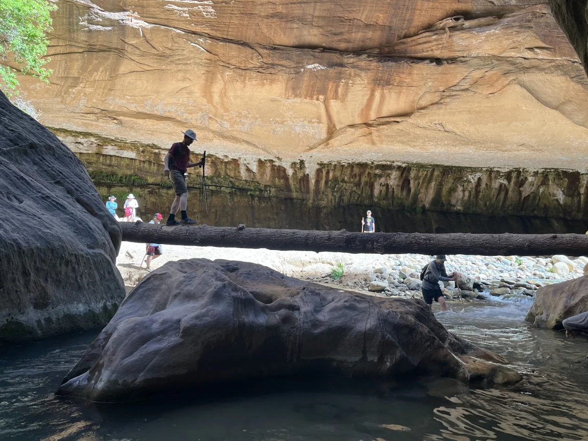 Скрытые сокровища The Narrows: от лягушек до каньониринга Скрытые сокровища The Narrows: от лягушек до каньониринга поход, The Narrows, Зайон, природа, лягушки, каньониринг