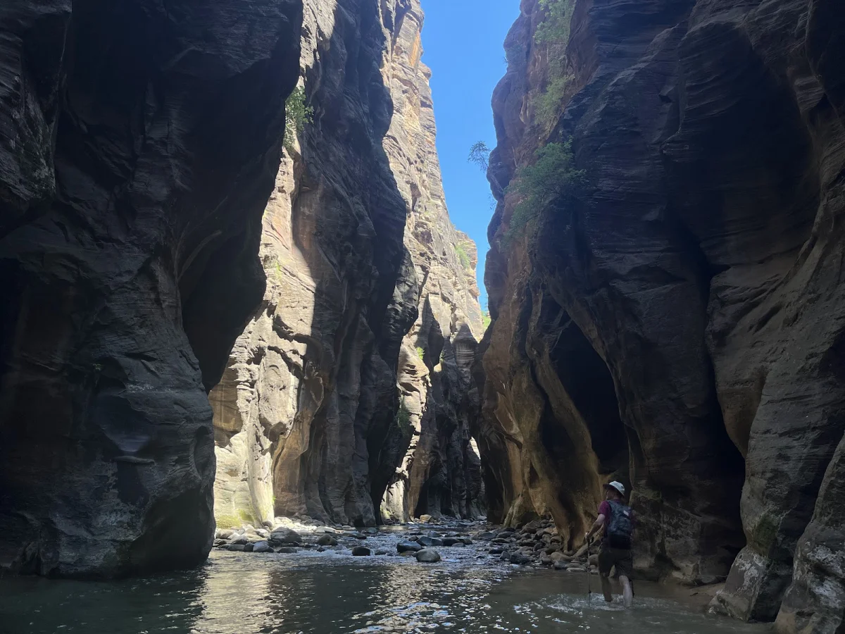 Скрытые сокровища The Narrows: от лягушек до каньониринга Скрытые сокровища The Narrows: от лягушек до каньониринга поход, The Narrows, Зайон, природа, лягушки, каньониринг