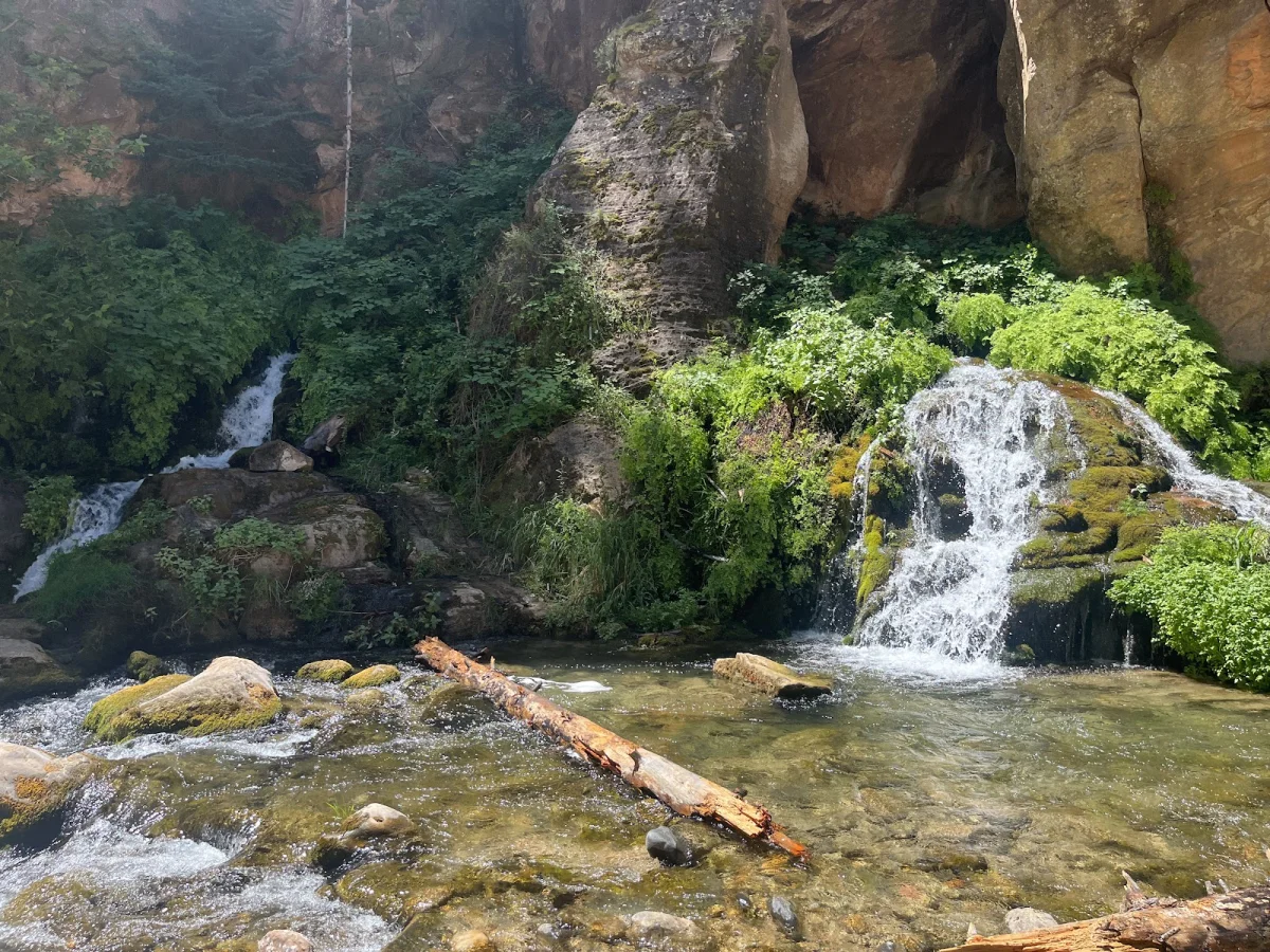 Скрытые сокровища The Narrows: от лягушек до каньониринга Скрытые сокровища The Narrows: от лягушек до каньониринга поход, The Narrows, Зайон, природа, лягушки, каньониринг