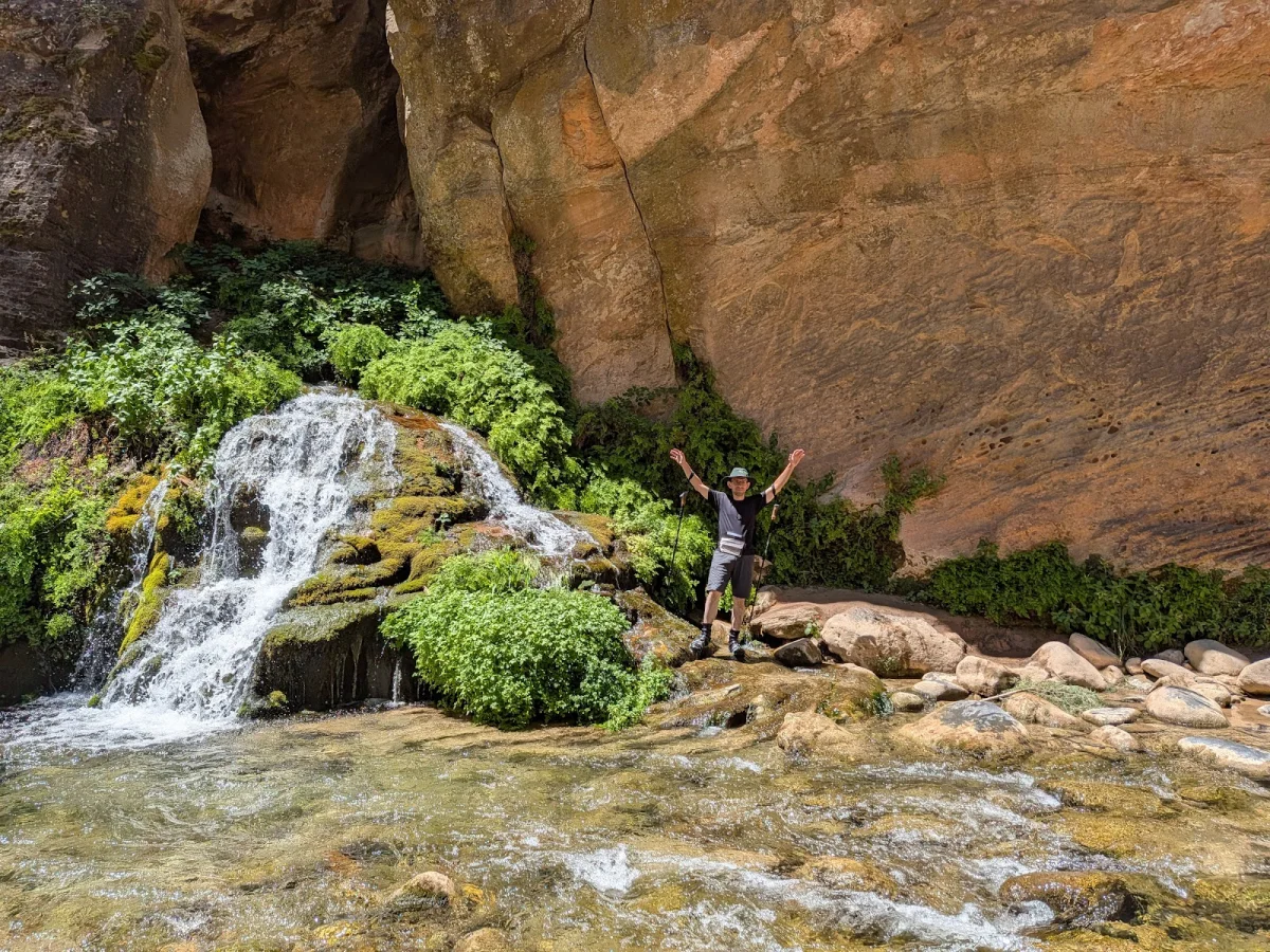 Скрытые сокровища The Narrows: от лягушек до каньониринга Скрытые сокровища The Narrows: от лягушек до каньониринга поход, The Narrows, Зайон, природа, лягушки, каньониринг