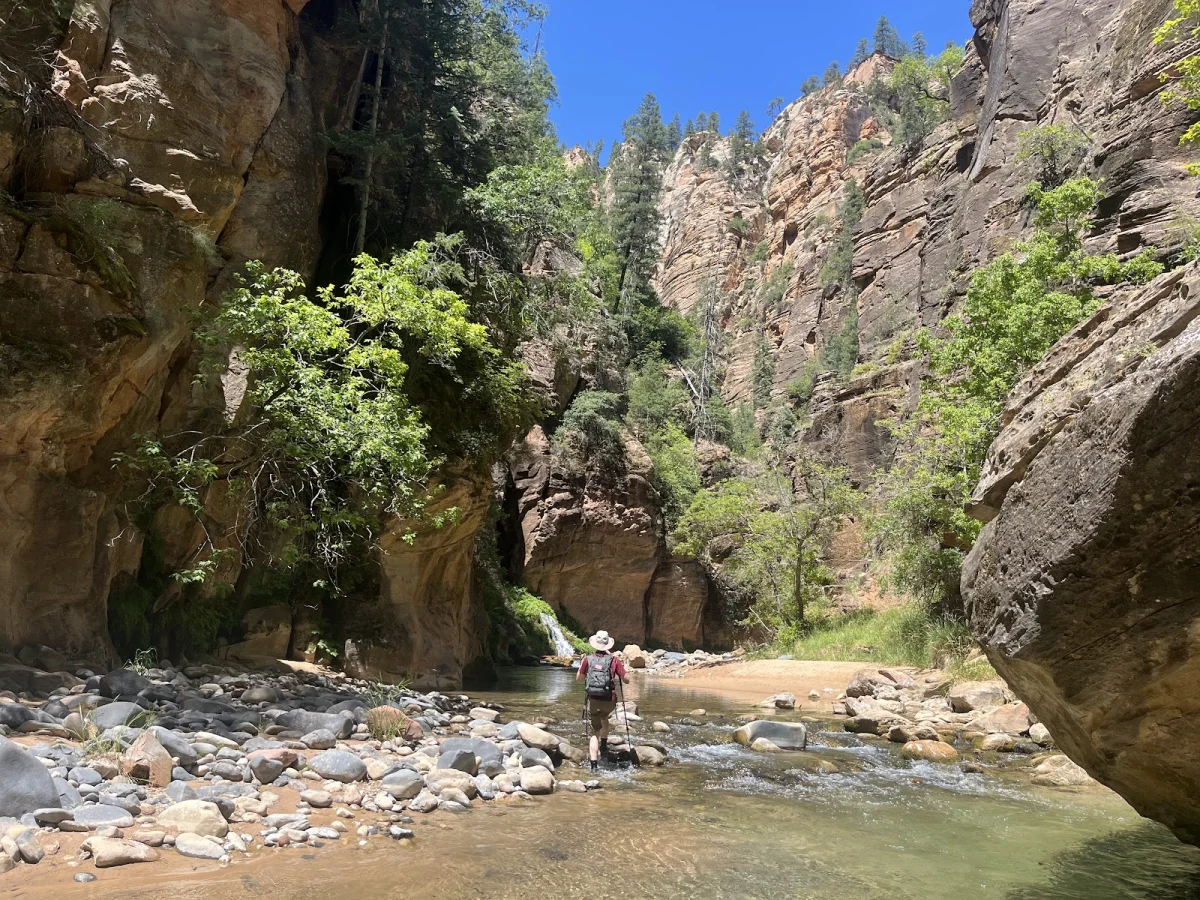 Скрытые сокровища The Narrows: от лягушек до каньониринга Скрытые сокровища The Narrows: от лягушек до каньониринга поход, The Narrows, Зайон, природа, лягушки, каньониринг