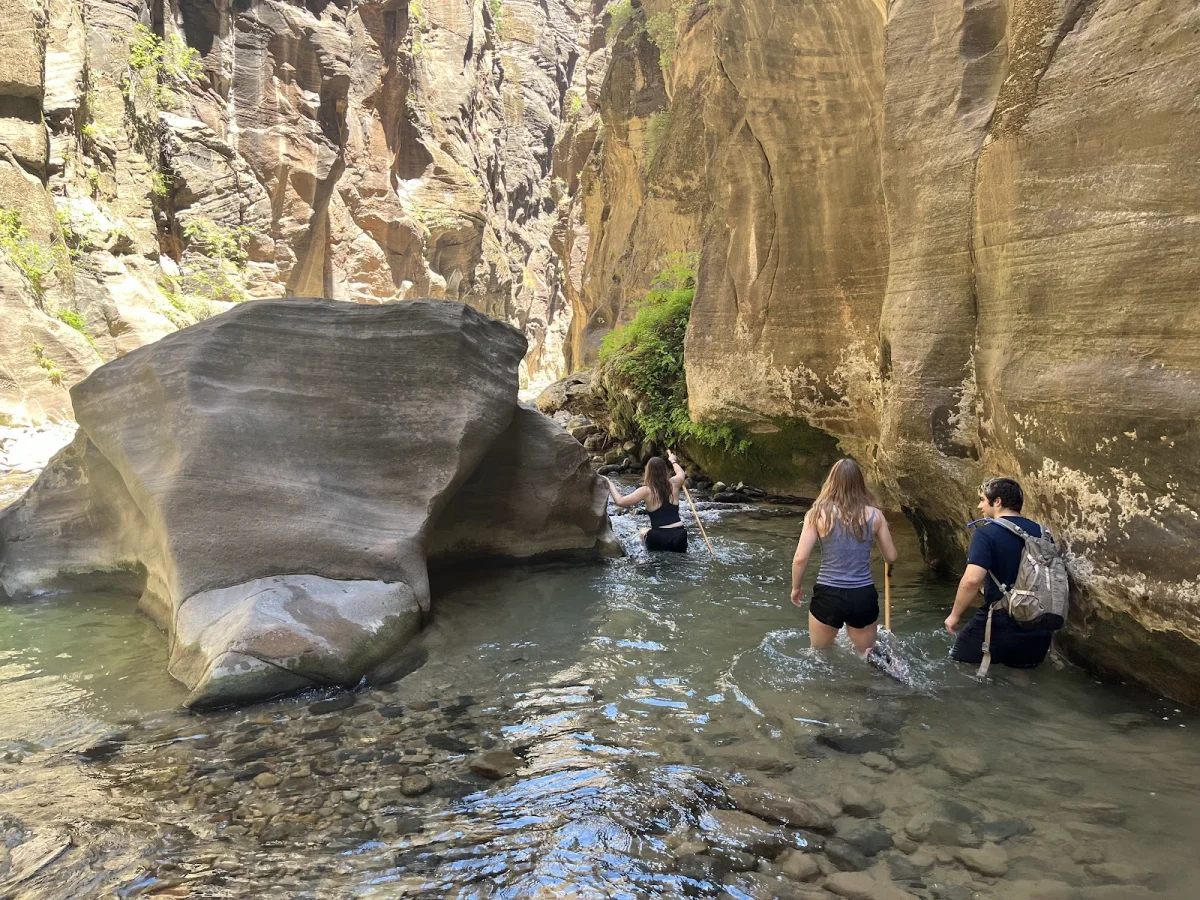Скрытые сокровища The Narrows: от лягушек до каньониринга Скрытые сокровища The Narrows: от лягушек до каньониринга поход, The Narrows, Зайон, природа, лягушки, каньониринг