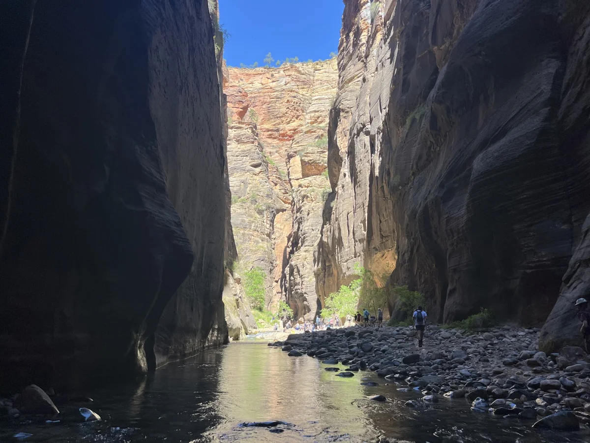 Скрытые сокровища The Narrows: от лягушек до каньониринга Скрытые сокровища The Narrows: от лягушек до каньониринга поход, The Narrows, Зайон, природа, лягушки, каньониринг