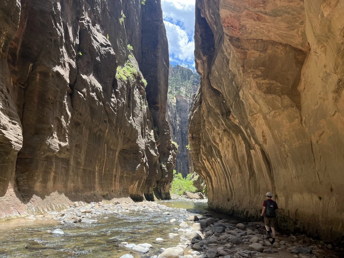 Скрытые сокровища The Narrows: от лягушек до каньониринга Скрытые сокровища The Narrows: от лягушек до каньониринга поход, The Narrows, Зайон, природа, лягушки, каньониринг