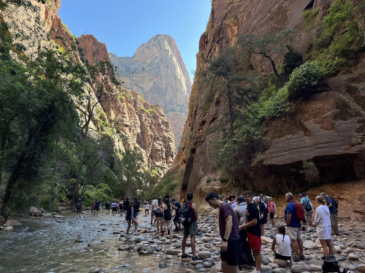Скрытые сокровища The Narrows: от лягушек до каньониринга Скрытые сокровища The Narrows: от лягушек до каньониринга поход, The Narrows, Зайон, природа, лягушки, каньониринг