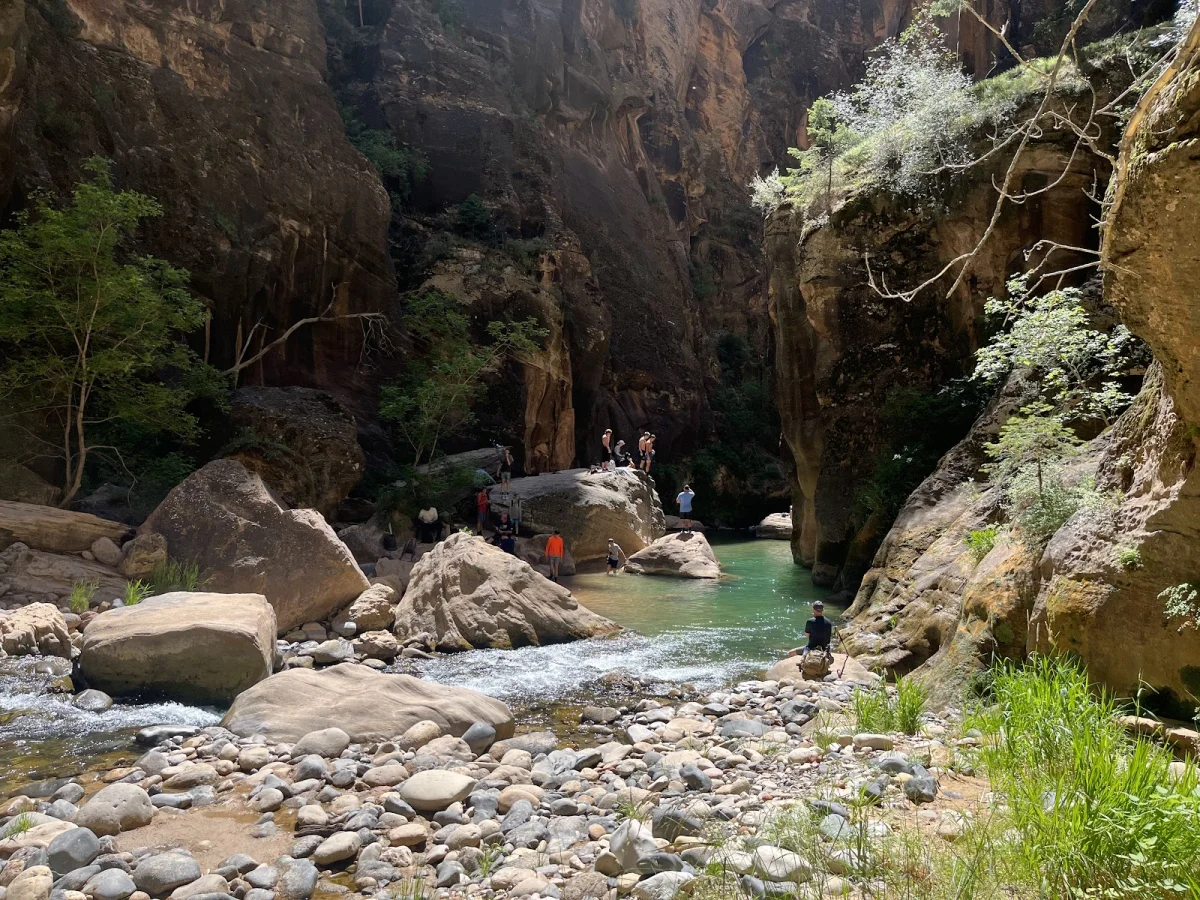 Скрытые сокровища The Narrows: от лягушек до каньониринга Скрытые сокровища The Narrows: от лягушек до каньониринга поход, The Narrows, Зайон, природа, лягушки, каньониринг
