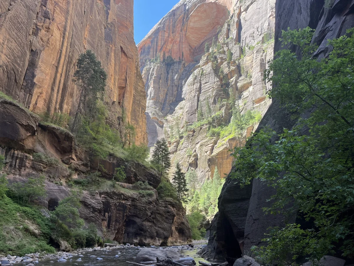 Скрытые сокровища The Narrows: от лягушек до каньониринга Скрытые сокровища The Narrows: от лягушек до каньониринга поход, The Narrows, Зайон, природа, лягушки, каньониринг