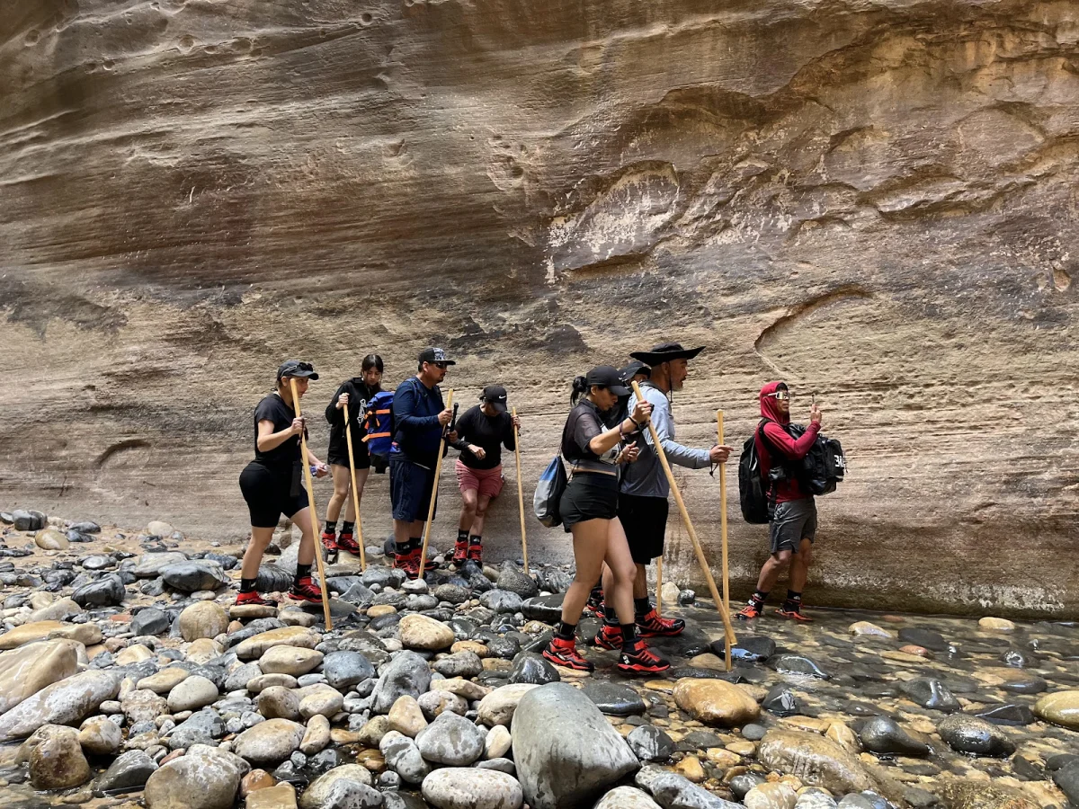 Скрытые сокровища The Narrows: от лягушек до каньониринга Скрытые сокровища The Narrows: от лягушек до каньониринга поход, The Narrows, Зайон, природа, лягушки, каньониринг
