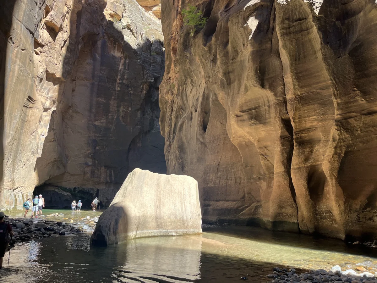 Скрытые сокровища The Narrows: от лягушек до каньониринга Скрытые сокровища The Narrows: от лягушек до каньониринга поход, The Narrows, Зайон, природа, лягушки, каньониринг