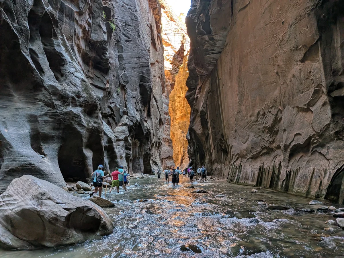 Скрытые сокровища The Narrows: от лягушек до каньониринга Скрытые сокровища The Narrows: от лягушек до каньониринга поход, The Narrows, Зайон, природа, лягушки, каньониринг