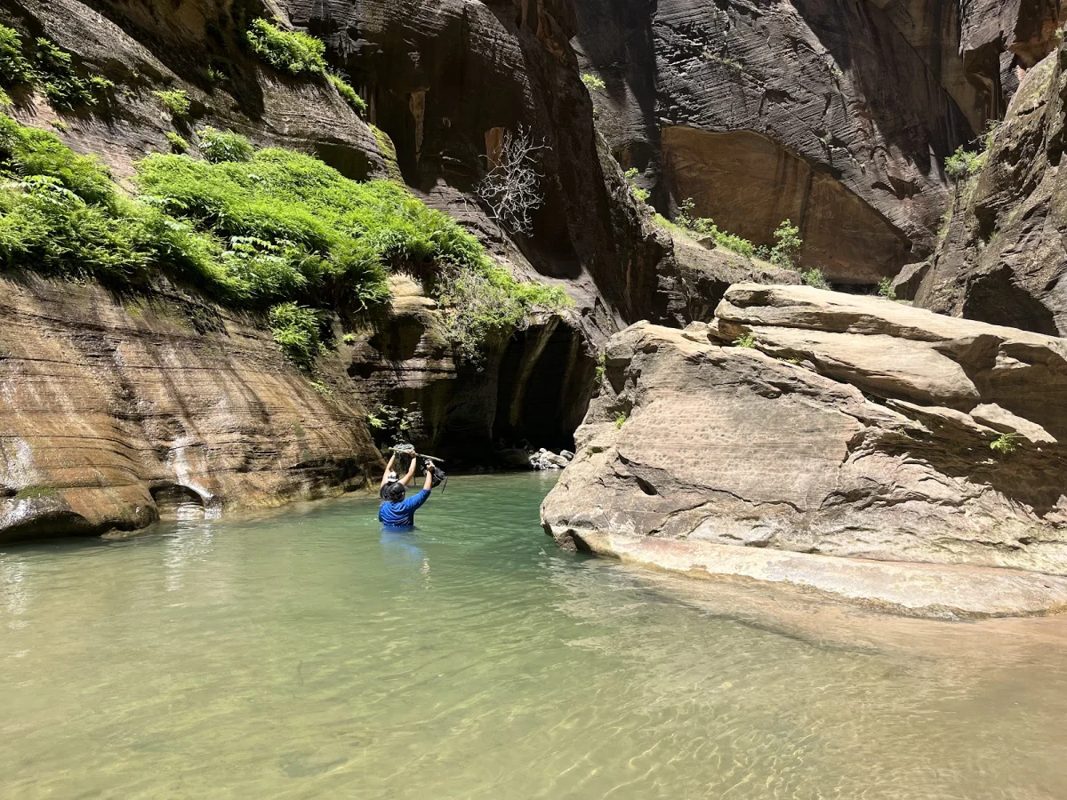 Скрытые сокровища The Narrows: от лягушек до каньониринга Скрытые сокровища The Narrows: от лягушек до каньониринга поход, The Narrows, Зайон, природа, лягушки, каньониринг