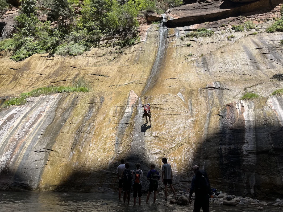 Скрытые сокровища The Narrows: от лягушек до каньониринга Скрытые сокровища The Narrows: от лягушек до каньониринга поход, The Narrows, Зайон, природа, лягушки, каньониринг