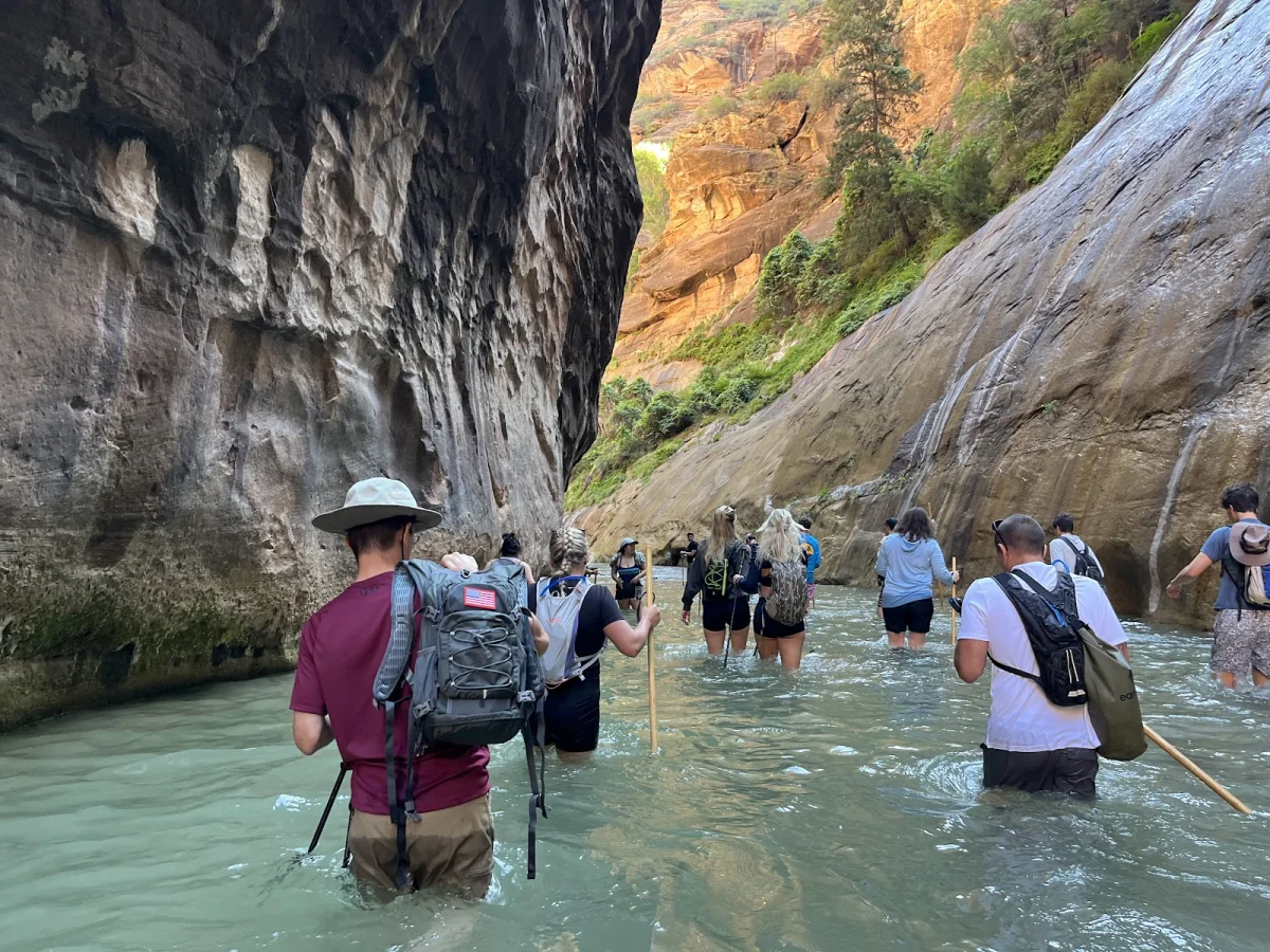 Скрытые сокровища The Narrows: от лягушек до каньониринга Скрытые сокровища The Narrows: от лягушек до каньониринга поход, The Narrows, Зайон, природа, лягушки, каньониринг