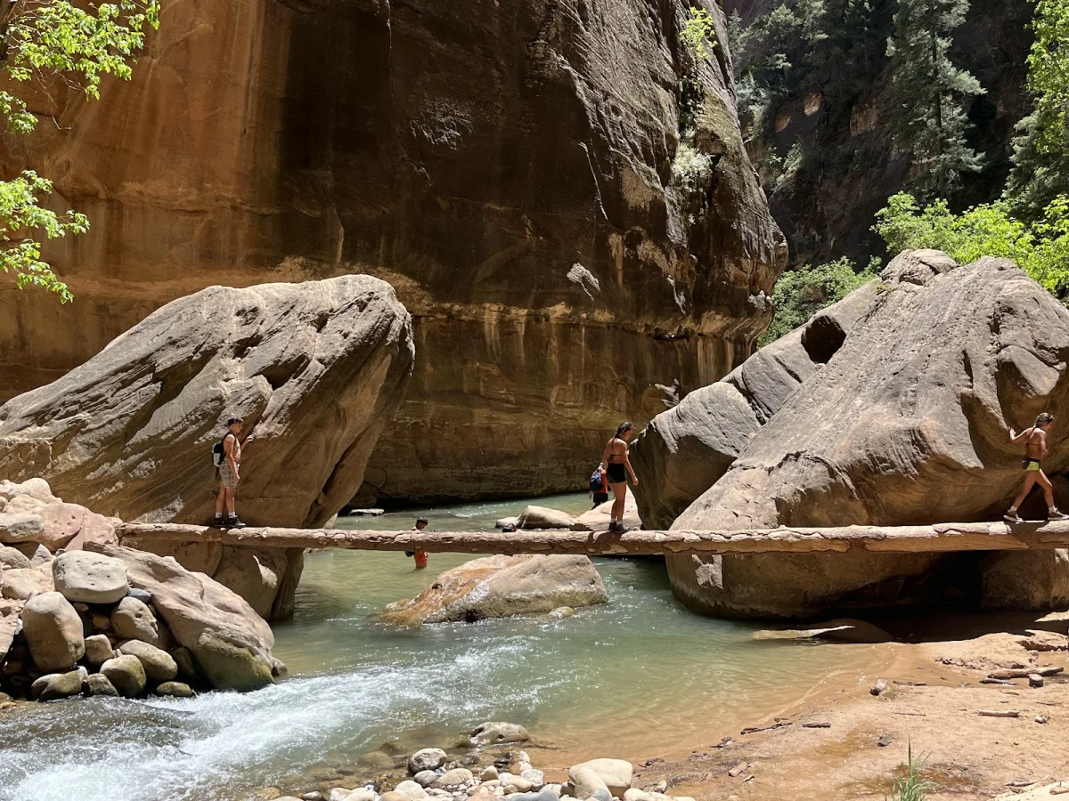 Скрытые сокровища The Narrows: от лягушек до каньониринга Скрытые сокровища The Narrows: от лягушек до каньониринга поход, The Narrows, Зайон, природа, лягушки, каньониринг
