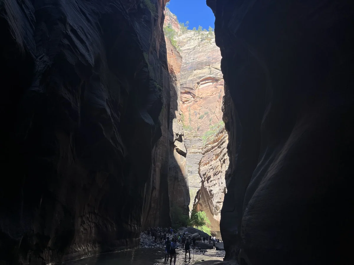 Скрытые сокровища The Narrows: от лягушек до каньониринга Скрытые сокровища The Narrows: от лягушек до каньониринга поход, The Narrows, Зайон, природа, лягушки, каньониринг