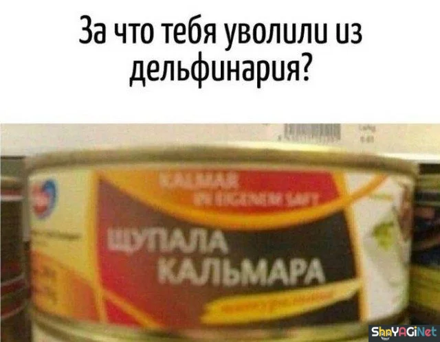 Сок июля: лучшие приколы месяца приколы, мемы, юмор, июль, подборка