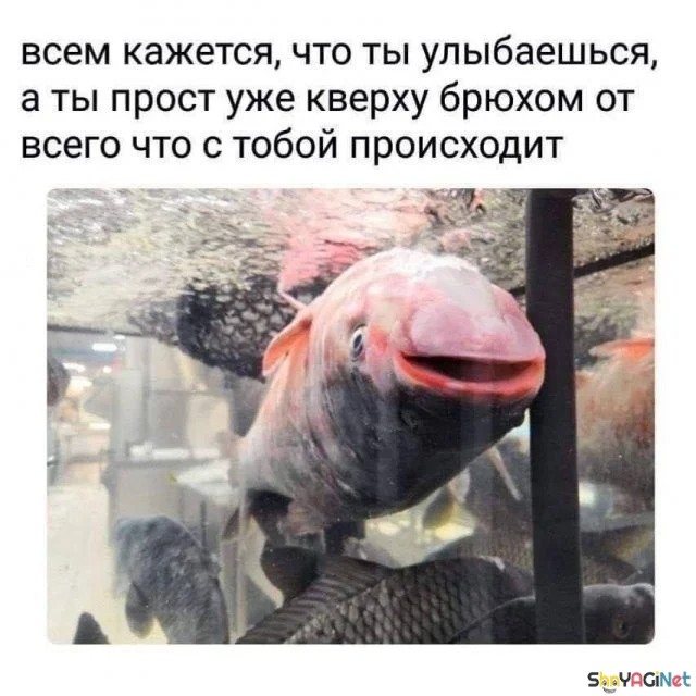 Сок июля: лучшие приколы месяца приколы, мемы, юмор, июль, подборка