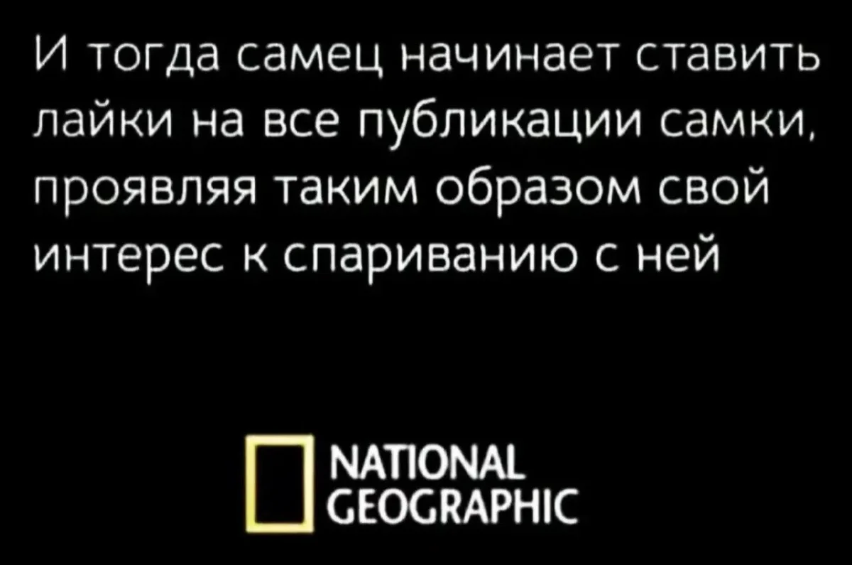 Вечерний юмор: бюджетные приколы 2 июля Вечерний юмор: бюджетные приколы 2 июля юмор, картинки, приколы, мемы