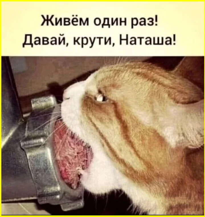 Подборка мемов про унитаз, от которых вы упадете мемы, приколы, унитаз, туалет, юмор