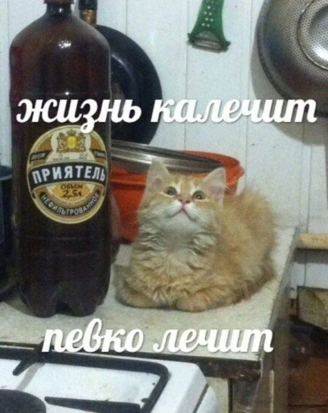 Смешные картинки на утро 3 июля: то, что вы искали мемы, приколы, картинки, смешное, юмор, подборка