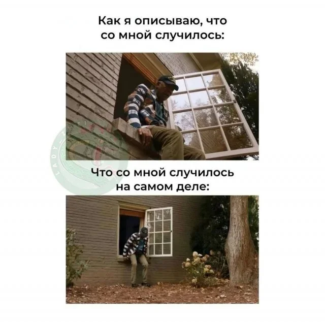 Смешные картинки на утро 3 июля: то, что вы искали мемы, приколы, картинки, смешное, юмор, подборка
