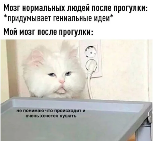 Пятничный угар: 50+ мемов, которые спасут ваши выходные Пятничный угар: 50+ мемов, которые спасут ваши выходные мемы, юмор, пятница, приколы, картинки, смешные фото