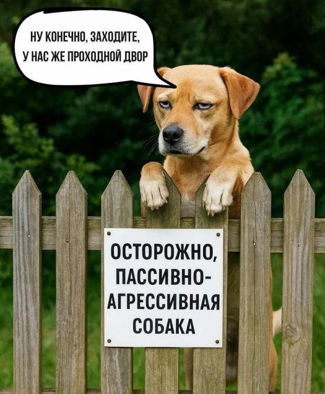 Пятничный угар: 50+ мемов, которые спасут ваши выходные Пятничный угар: 50+ мемов, которые спасут ваши выходные мемы, юмор, пятница, приколы, картинки, смешные фото