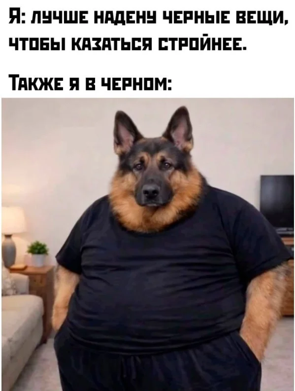 Пятничный угар: 50+ мемов, которые спасут ваши выходные Пятничный угар: 50+ мемов, которые спасут ваши выходные мемы, юмор, пятница, приколы, картинки, смешные фото