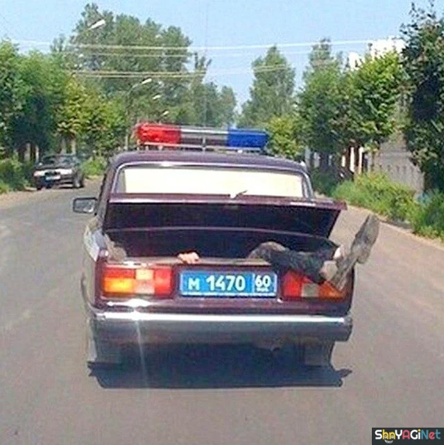 Русские приколы: когда жизнь смешнее анекдотов