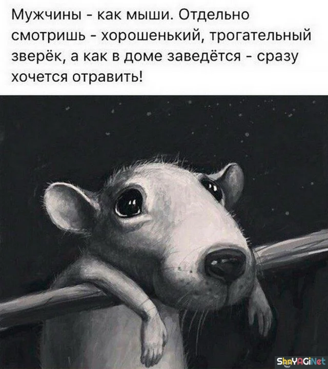 Жизненные цитаты, которые бьют точно в цель цитаты, приколы, настроение