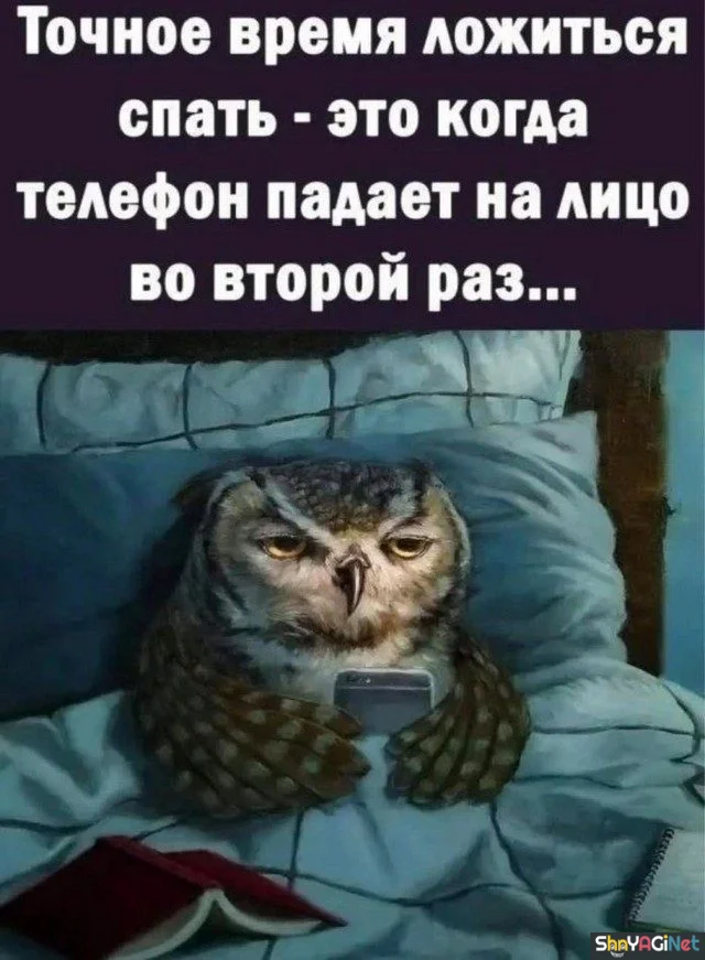 Жизненные цитаты, которые бьют точно в цель цитаты, приколы, настроение