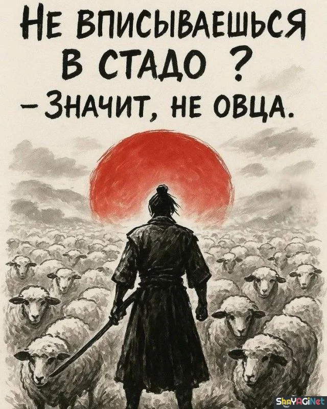 Жизненные цитаты, которые бьют точно в цель цитаты, приколы, настроение