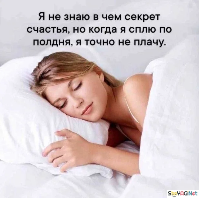 Жизненные цитаты, которые бьют точно в цель цитаты, приколы, настроение