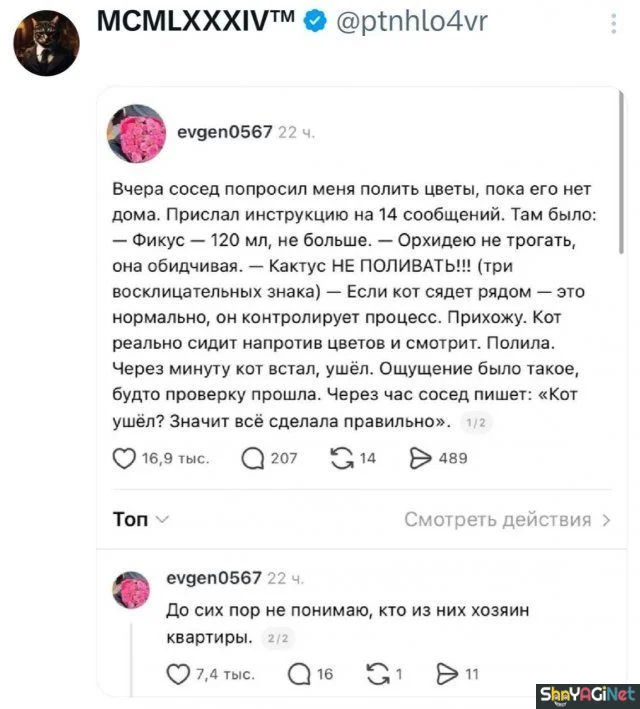 Свежие перлы из комментариев: над чем смеется интернет Свежие перлы из комментариев: над чем смеется интернет приколы, юмор, соцсети, комментарии, смешное, подборка